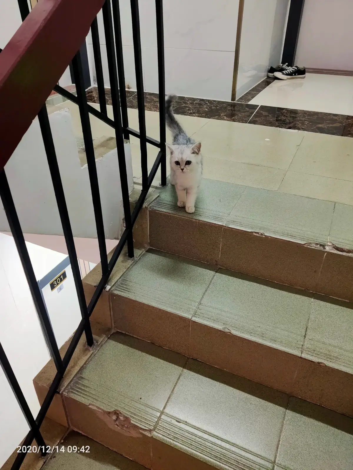 2020-12-14(吃酸菜鱼滑冰)