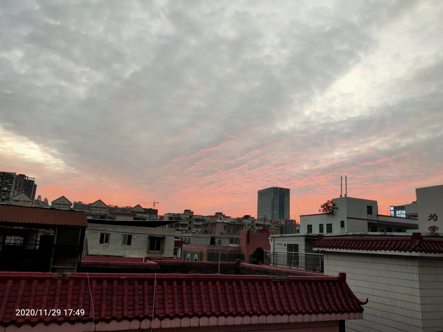 2020-11-29（入冬的深圳）