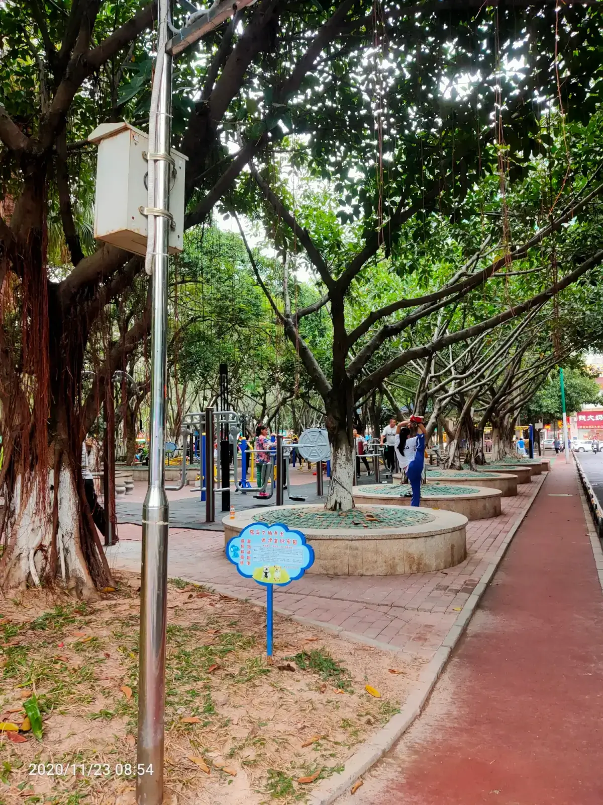 2020-11-23（早起的虫儿鸟被吃）