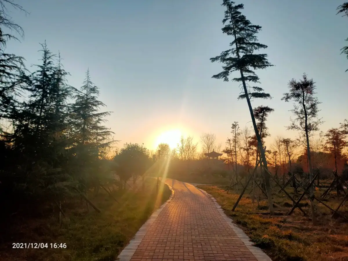 2021-12-04-05（出来溜达）