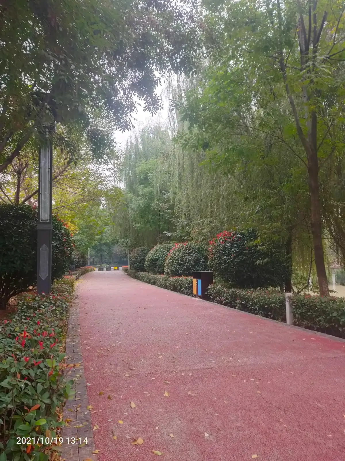 2021-10-19（请假去事务科）---草稿