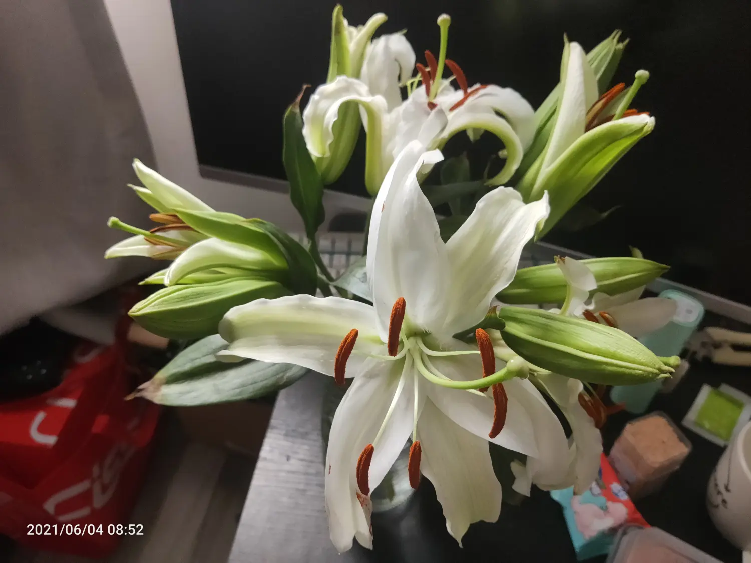 2021-06-05(周六放假，百合花开)