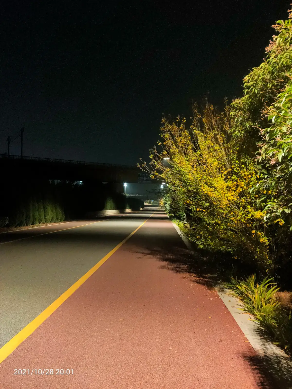 2021-10-28-29（出红薯，静心，锻炼，告别）