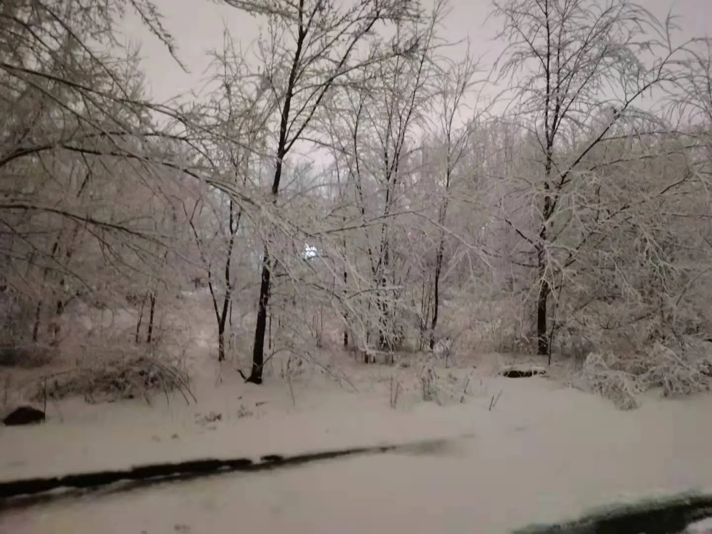 2021-02-24(家里下雪了)