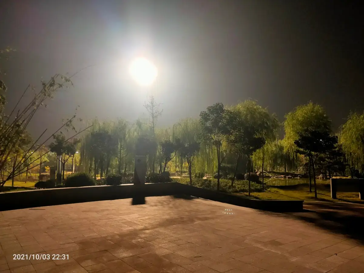 2021-10-03（憋屈加疏导）