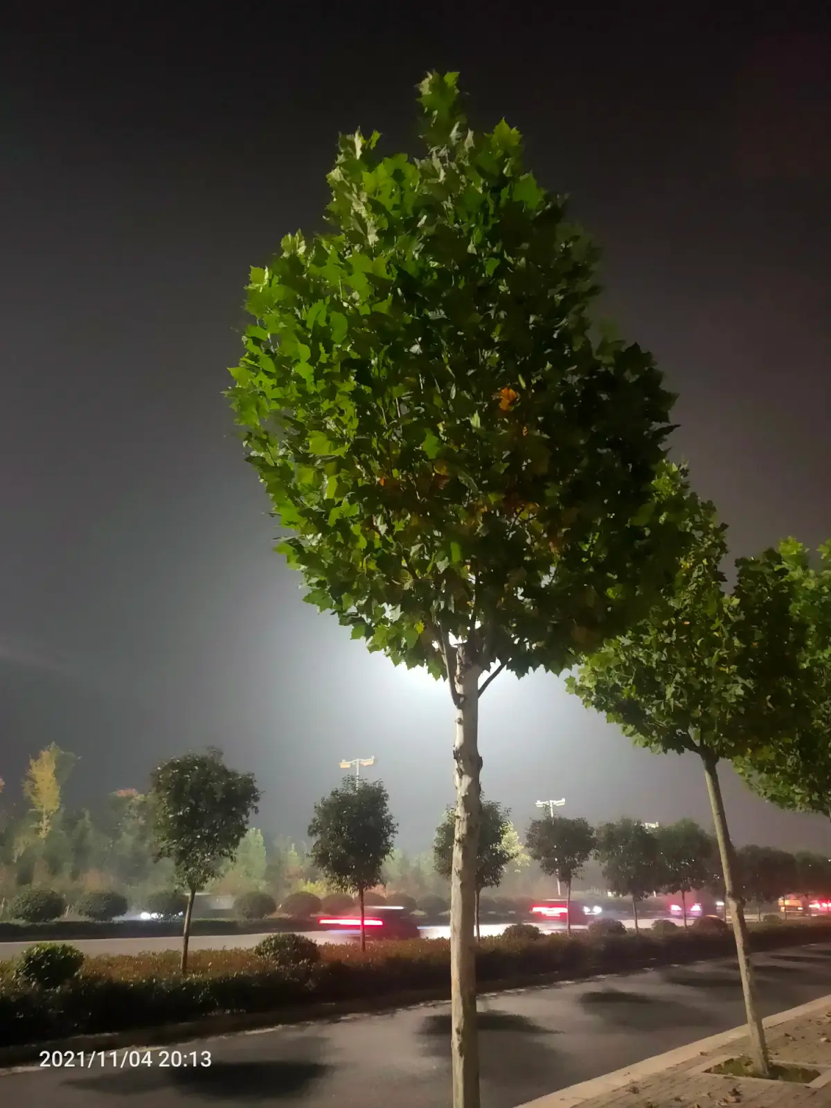 2021-11-04-05（连跑两天）