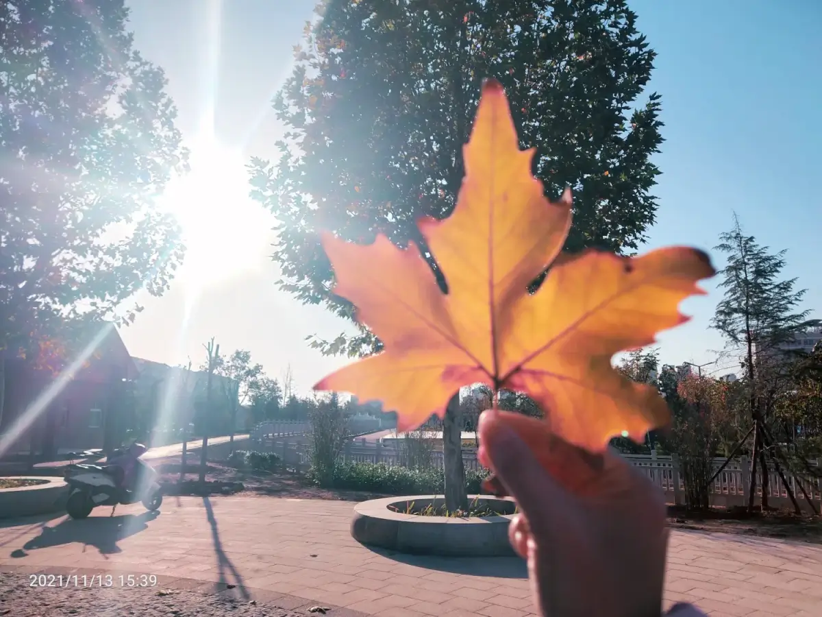 2021-11-13_14（拍登记照）