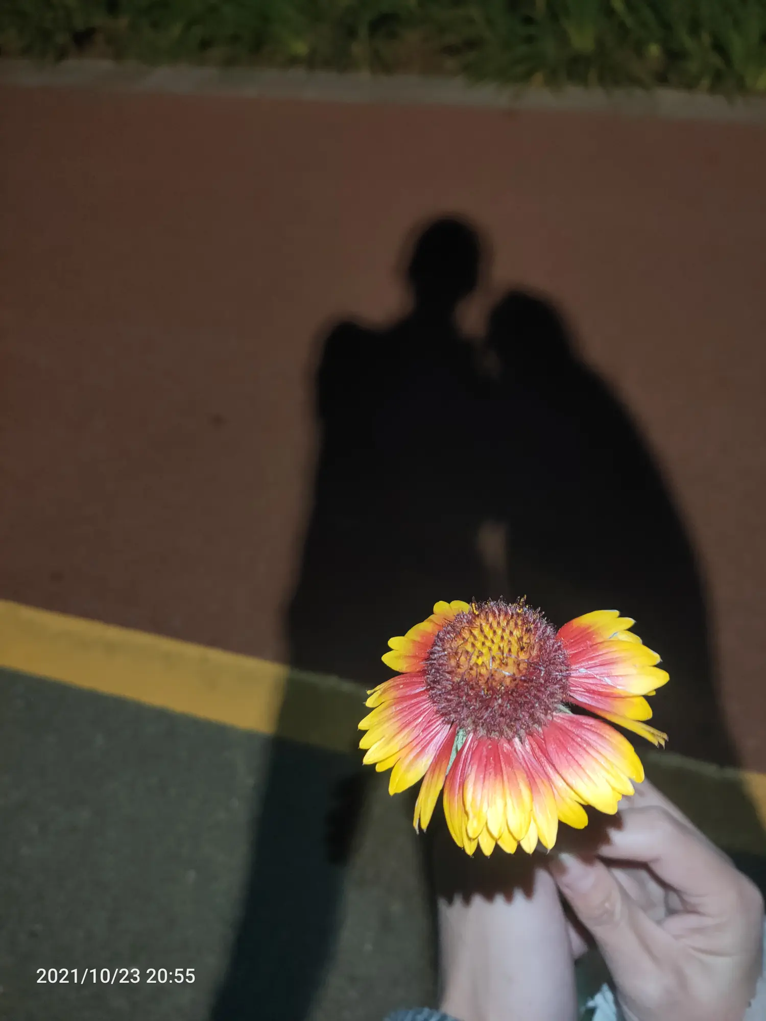 2021-10-23(纠结要不要辞职去干辅警)