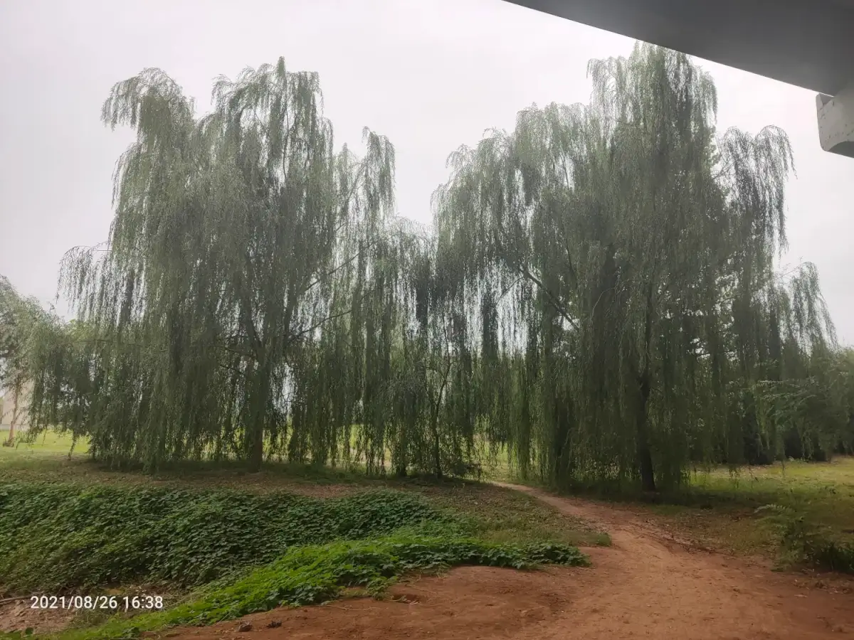 2021-08-26_28（出来溜达）