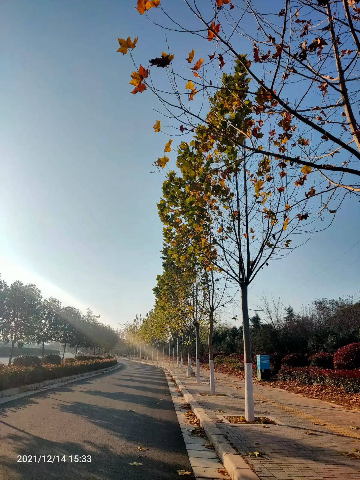 2021-12-14（司辅面试）