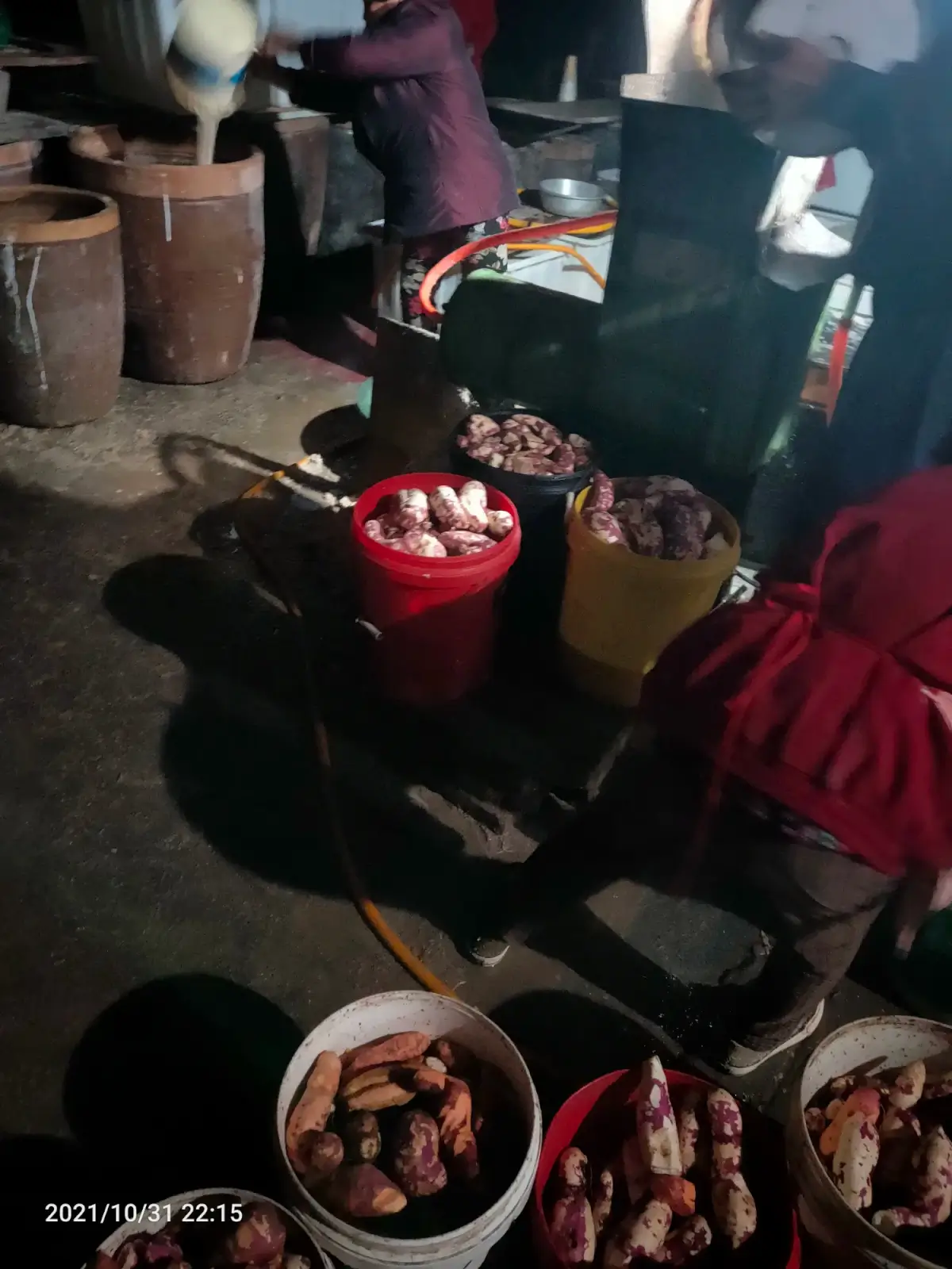 2021-10-31（楂红薯）