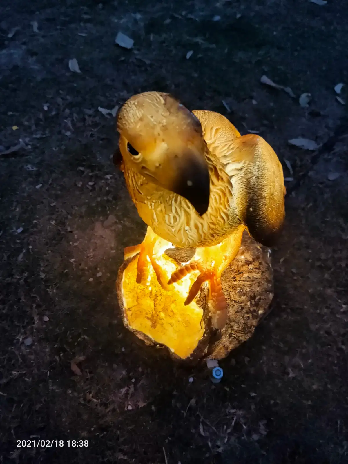 2021-02-19（初八）