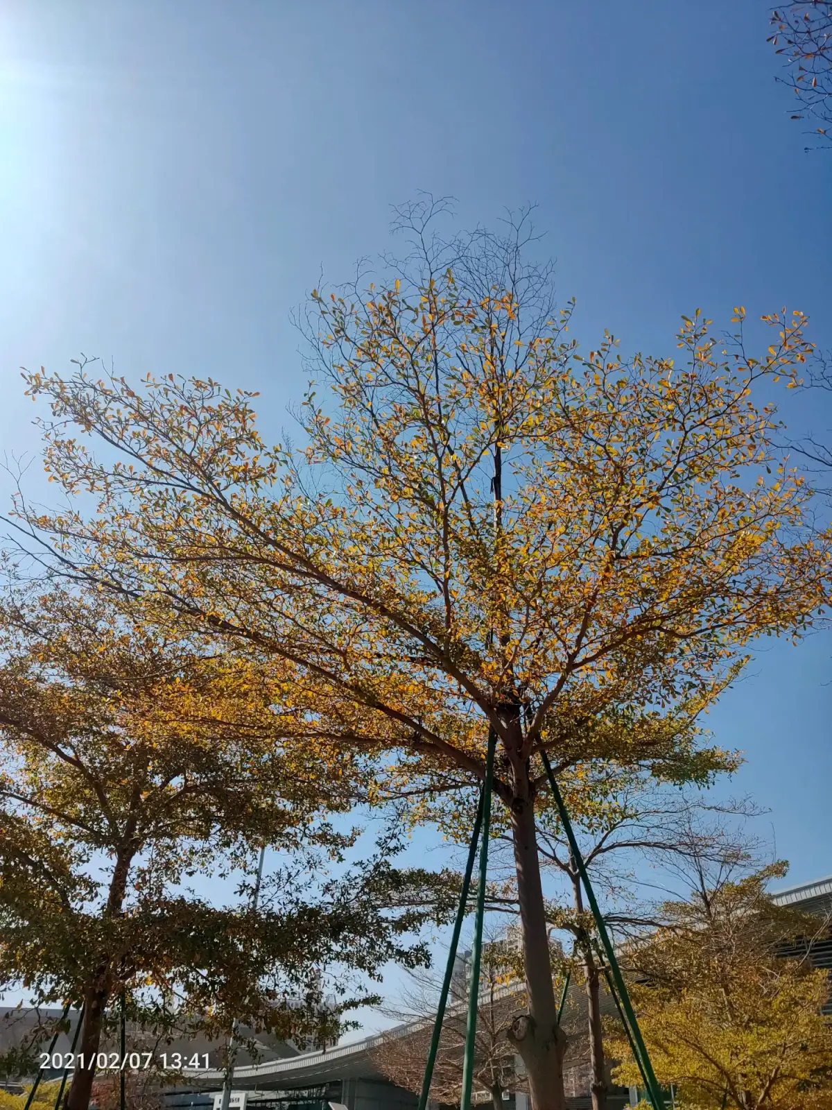 2021-02-07(回家前一天总有点感伤)