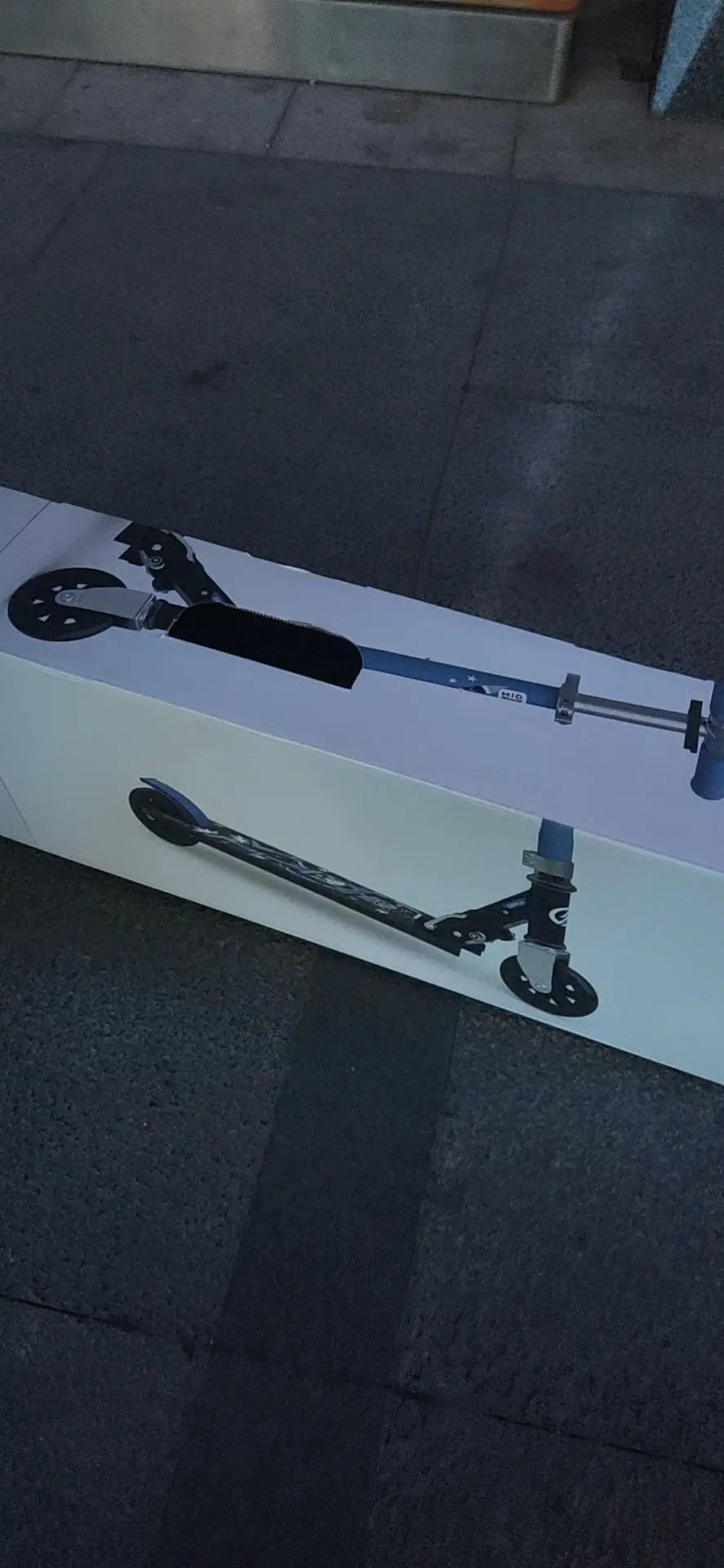 2021-02-03(吃鱼，玩滑板)