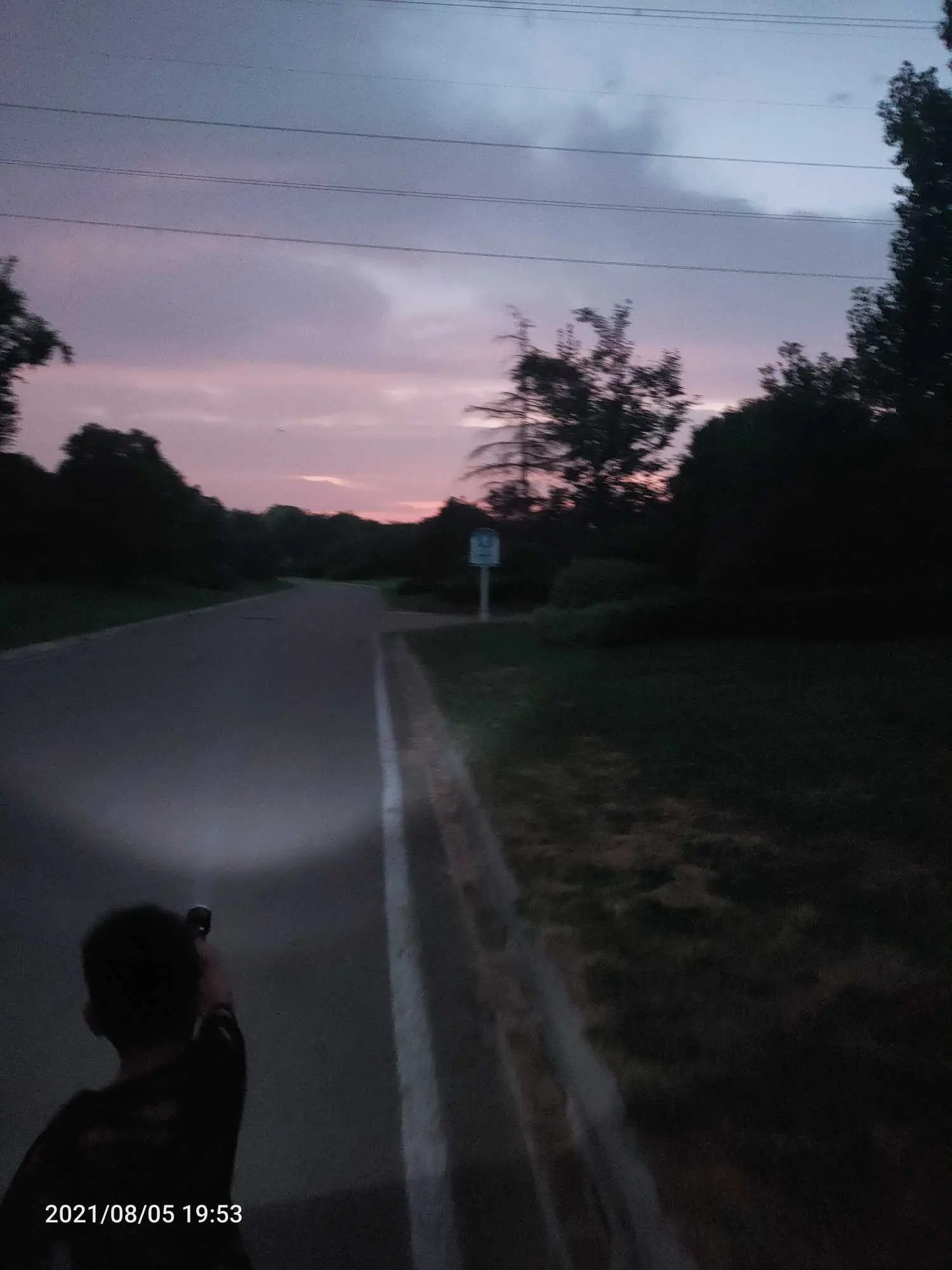 2021-08-05（今天去理发捉蝉）