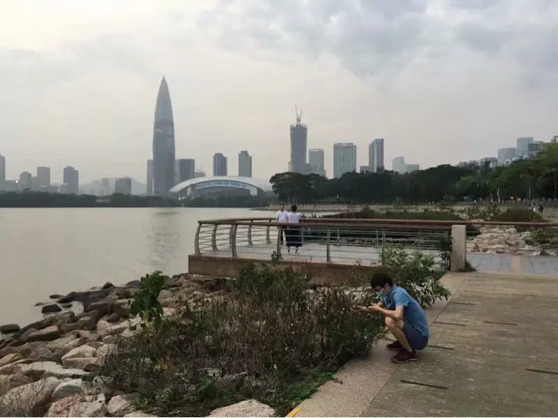 2021-08-17（夏天里最遗憾的事）