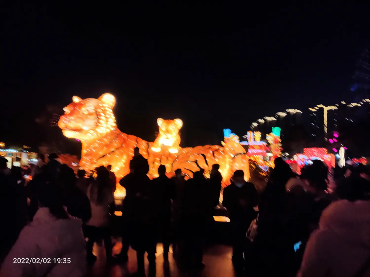 2022-02-02(初二串亲戚，看花灯)