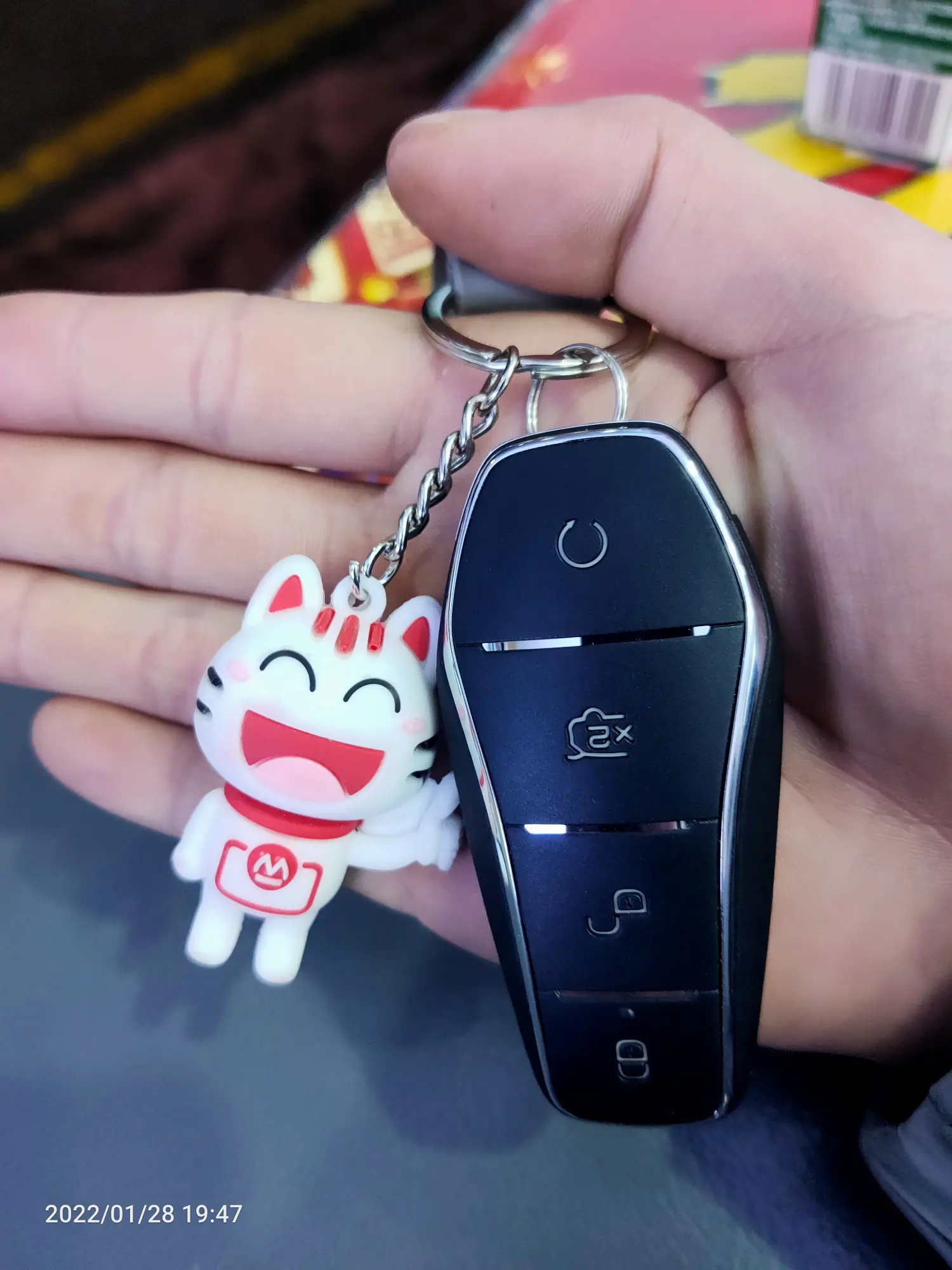 2022-01-27-28(试电能跑多远，去串亲戚)