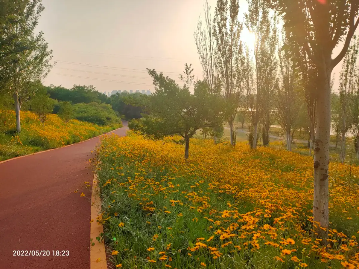 2022-05-20(河滩逛，晚上气)