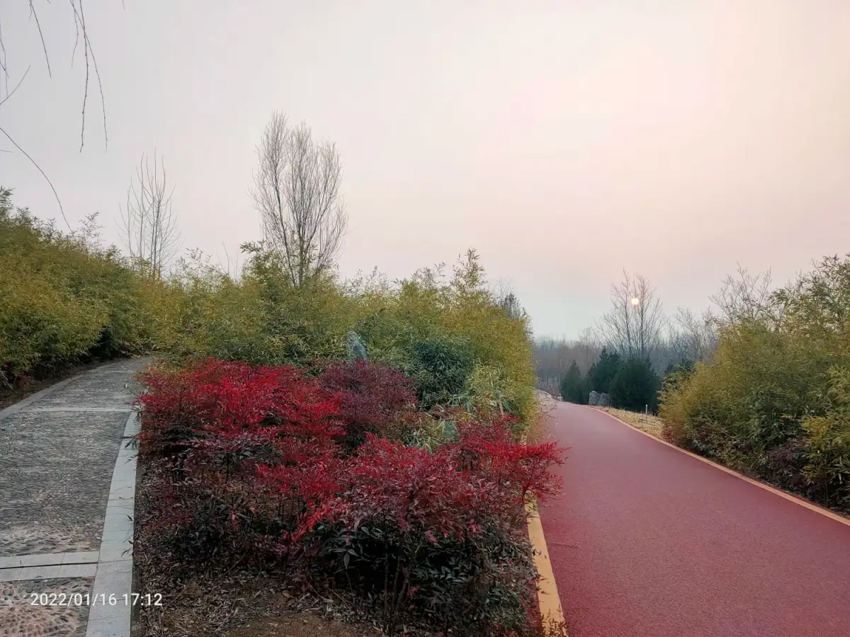 2022-01-15-16(去关林，去检查，去河滩)