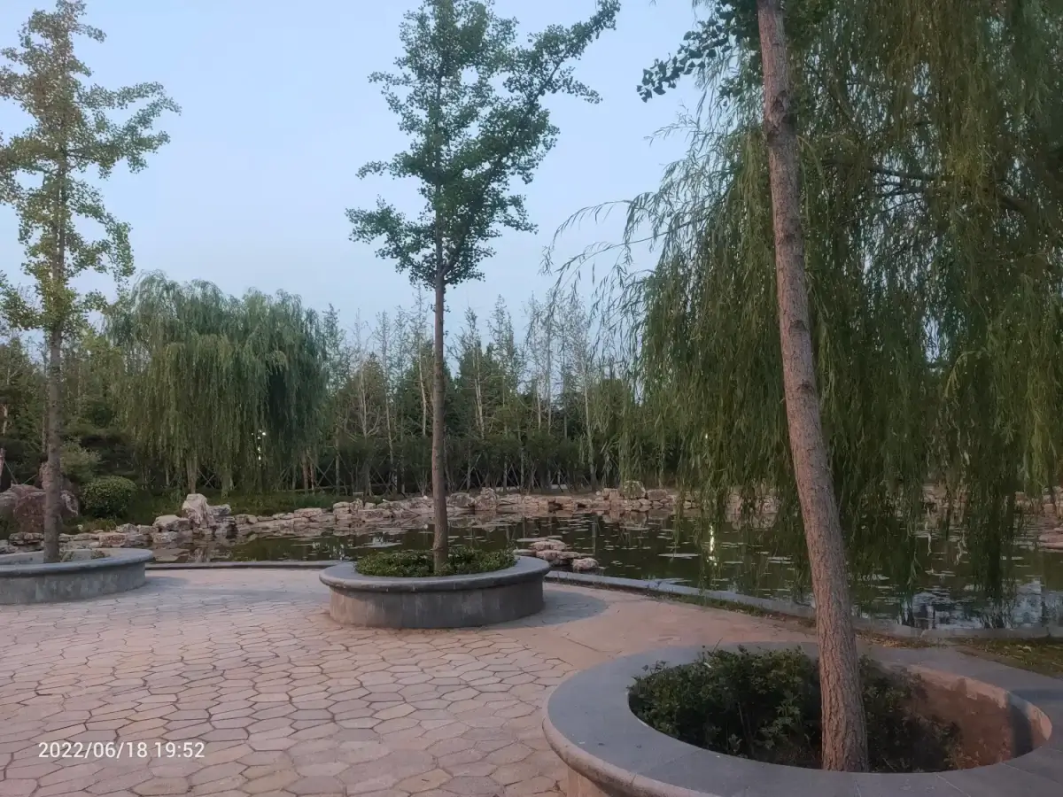 2022-06-18(绝不是我想生气的)