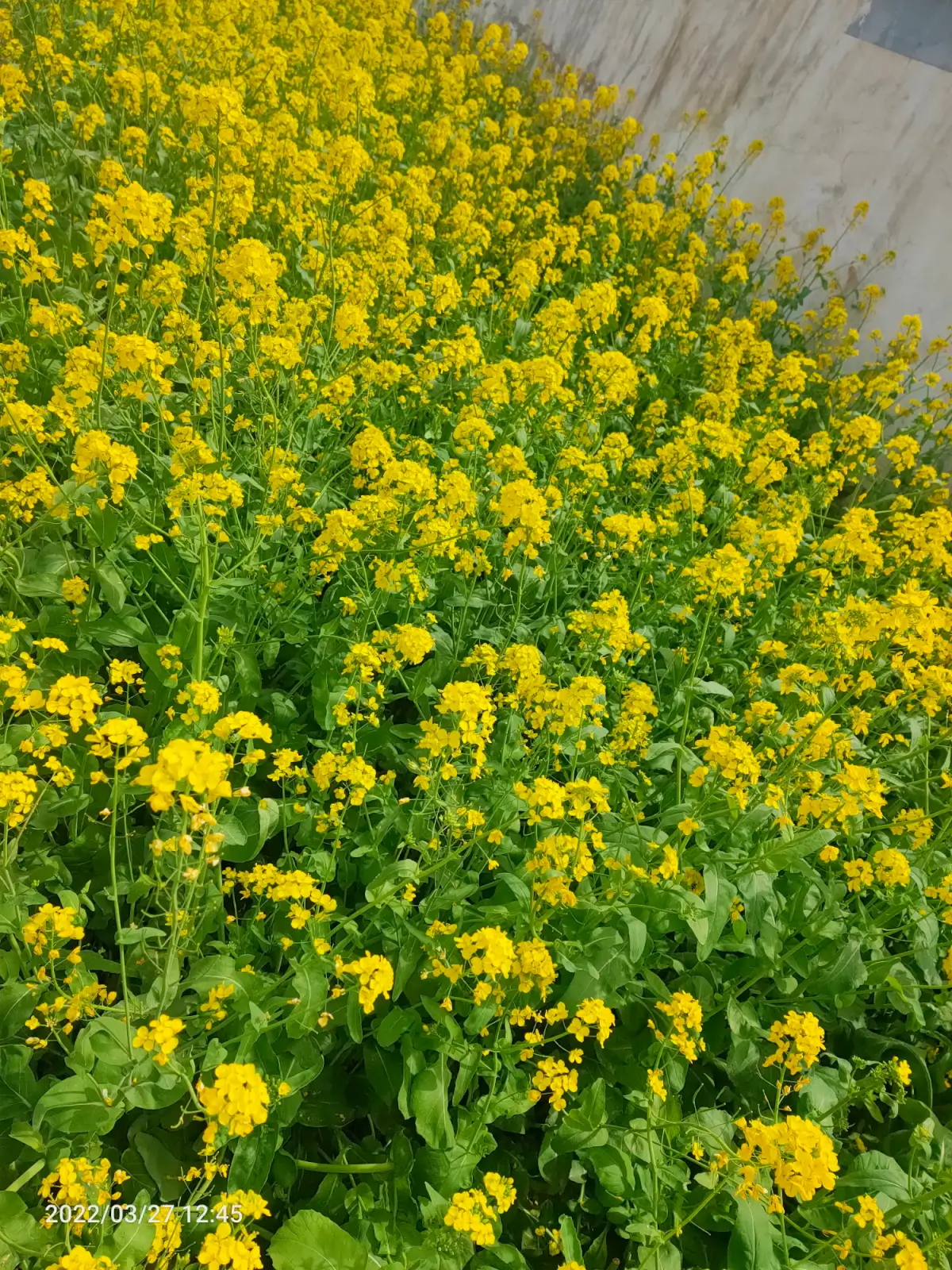 2022-03-28(今天理发)