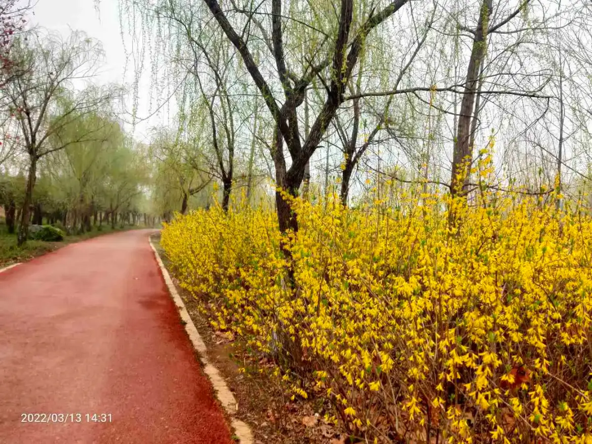 2022-03-13-14(去贴膜，奶奶回来了)