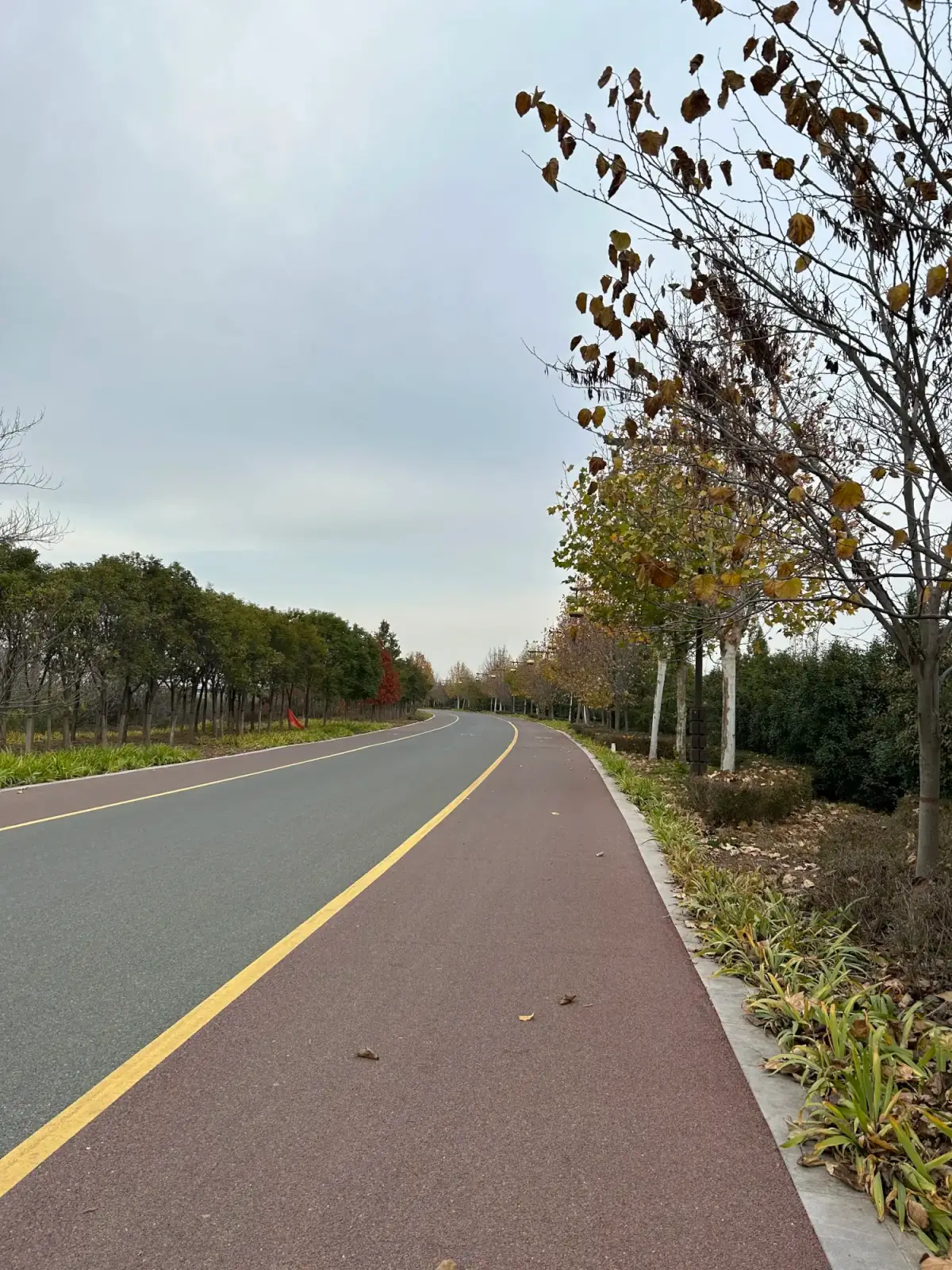 2022-12-01(命中注定)