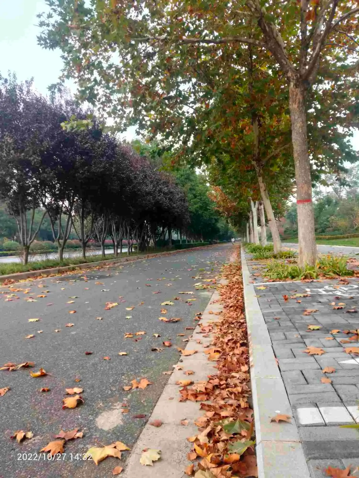 2022-11-01(新月份的开始，幸福的开始)