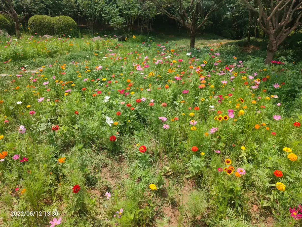 2022-06-16(昨天我28了)