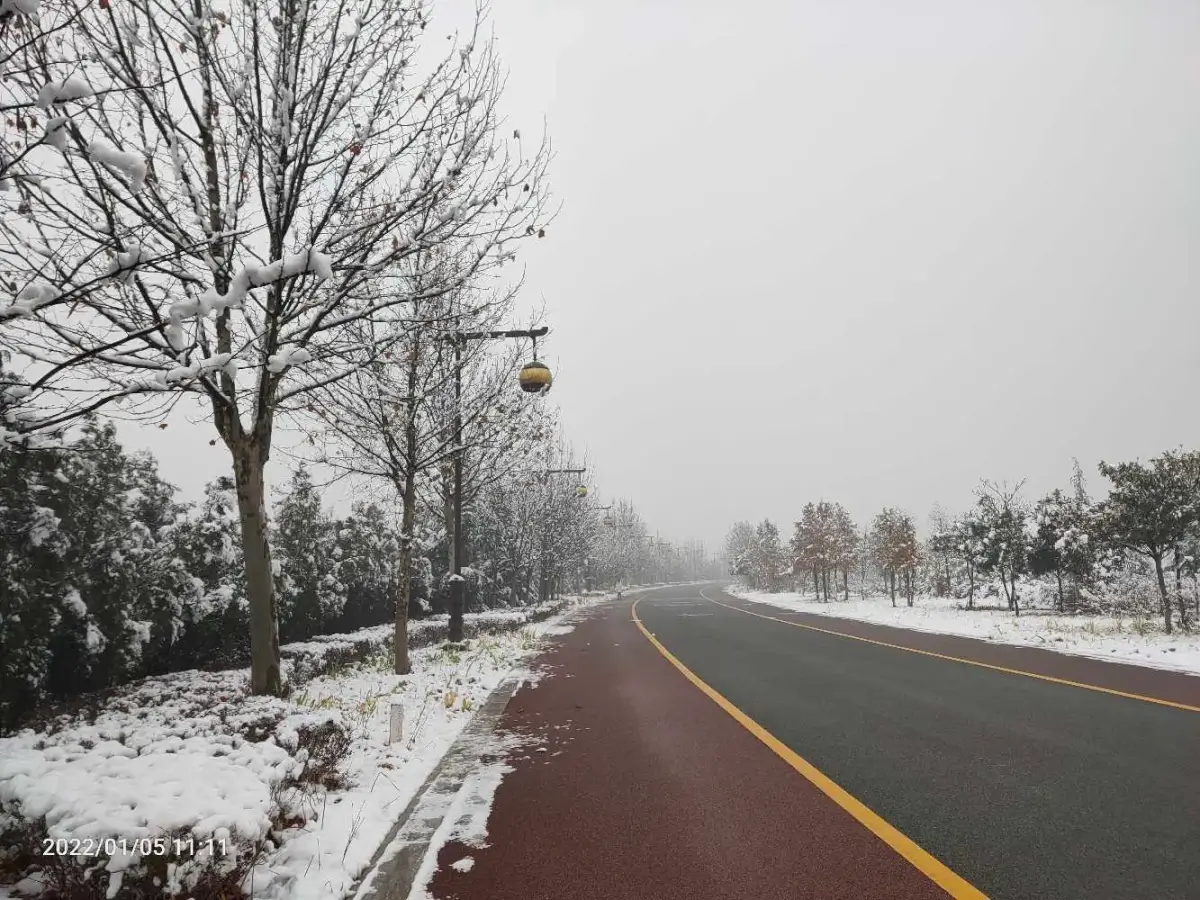 2022-01-05-06-07(大雁逛，面试，辞)