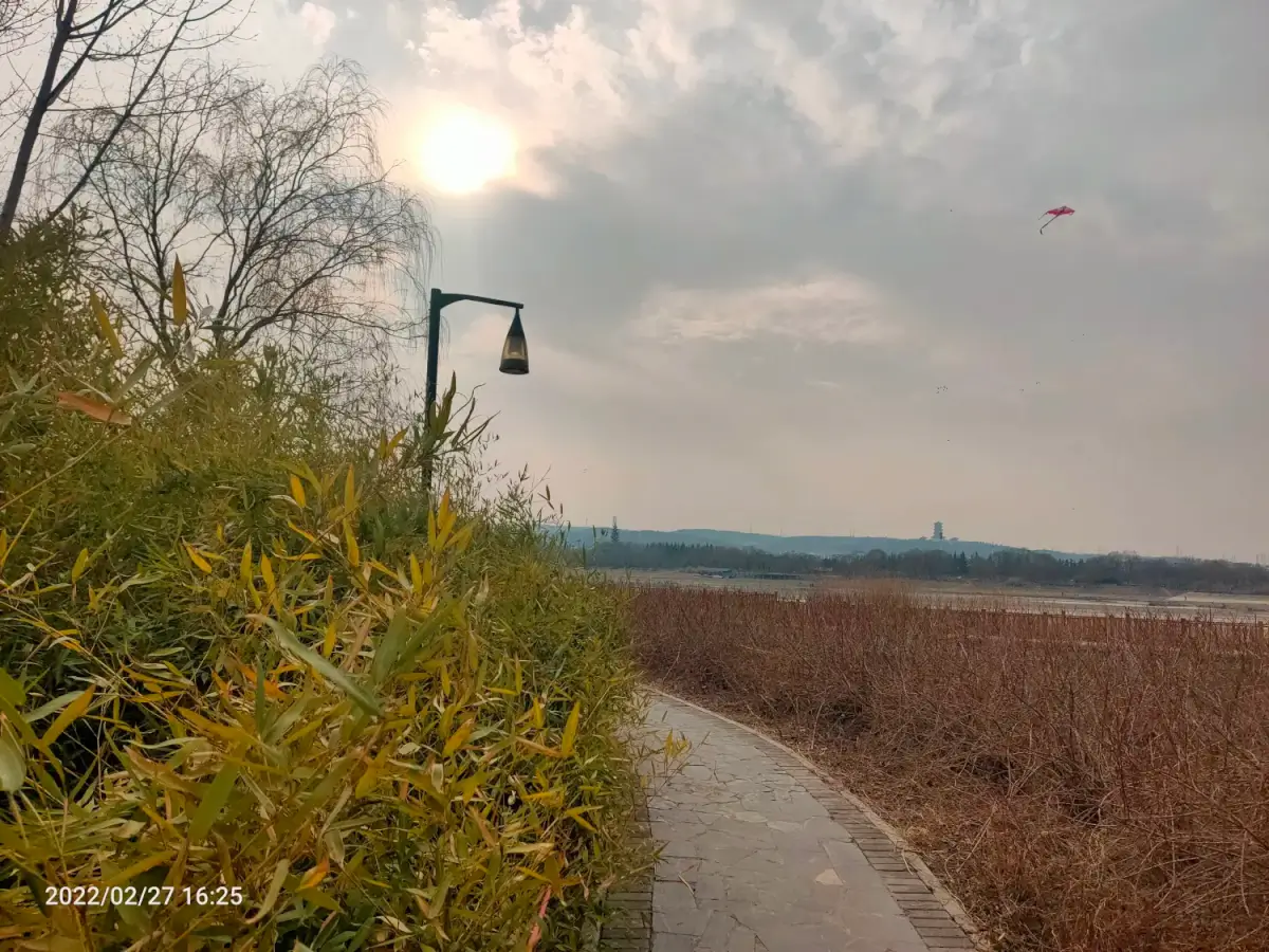 2022-02-26-27（今天周日去，买花）