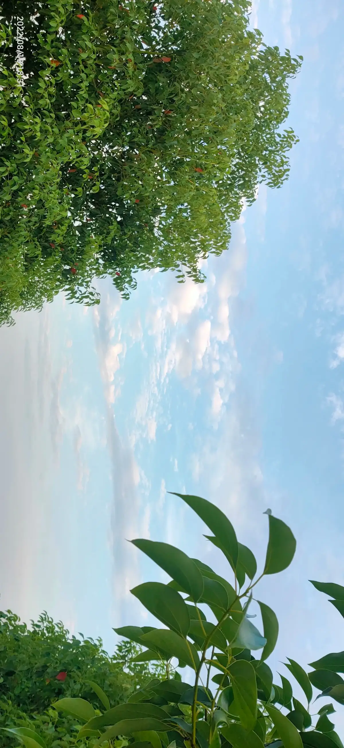 2022-08-20_23(取快递，大吵一架，离婚)