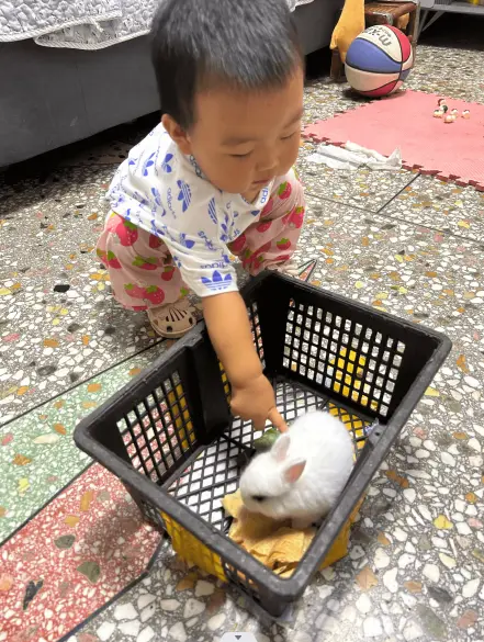 2023-09-06(给宝贝买了兔子)