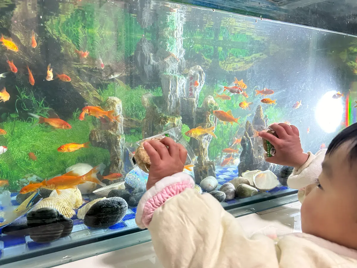 2023-12-16(孩子会说鸟)