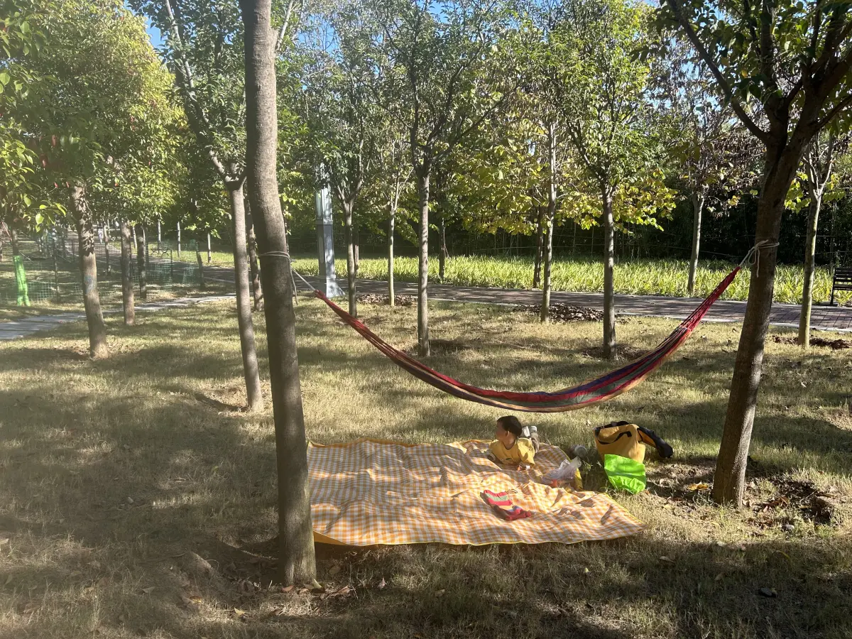 2023-10-22(还是因为房子)