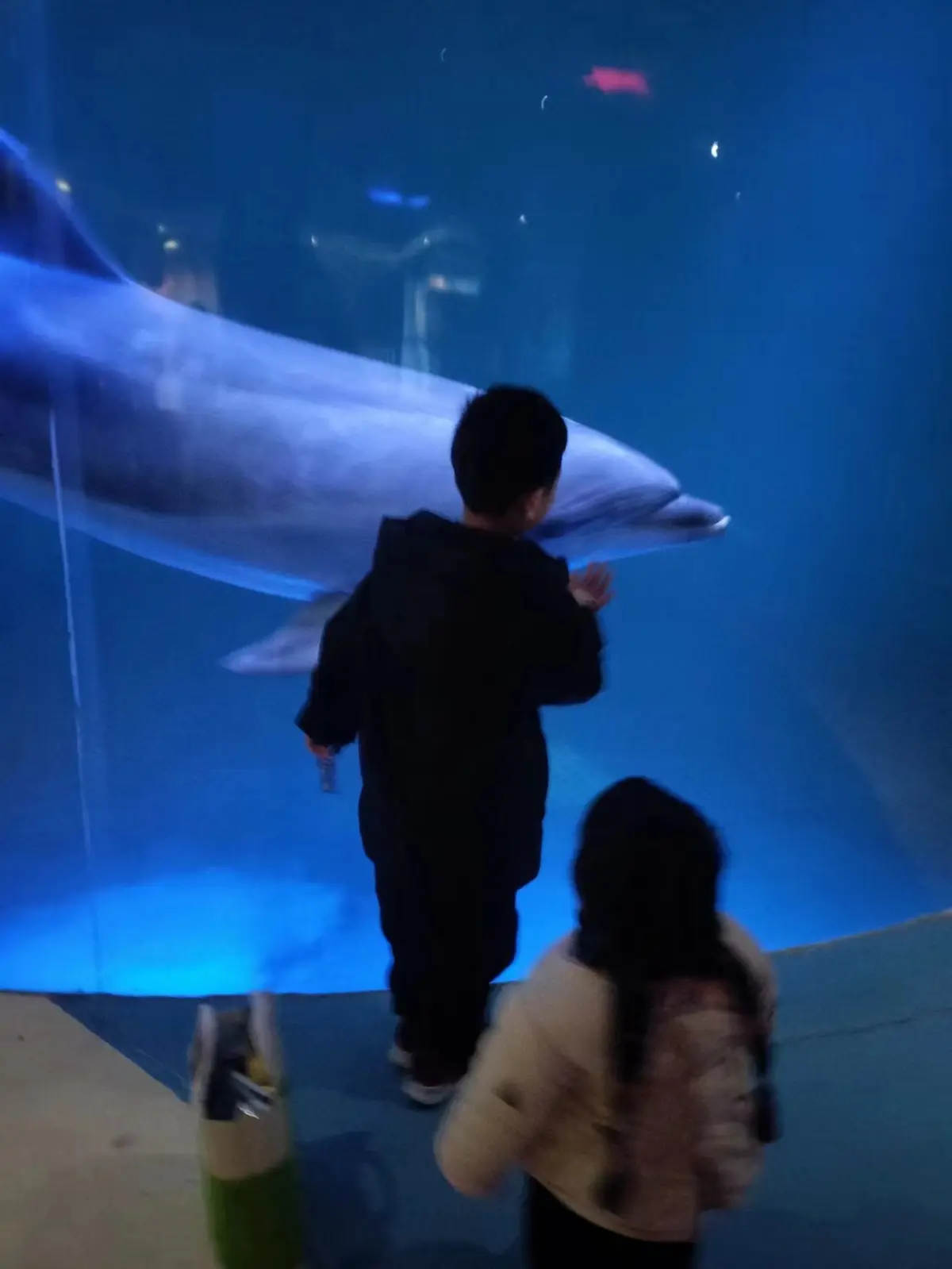 2024-01-23(奶奶带兰汐去海洋馆)
