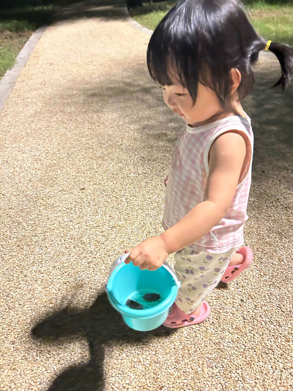 2024-08-12(带娃抓蝉)