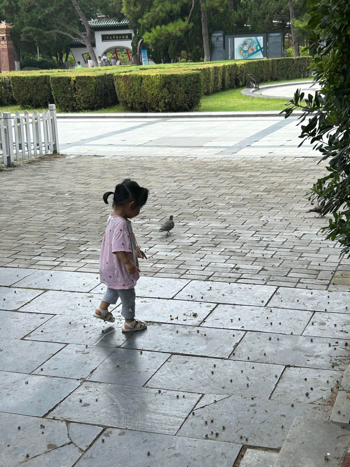 2024-08-18(王城公园游泳)