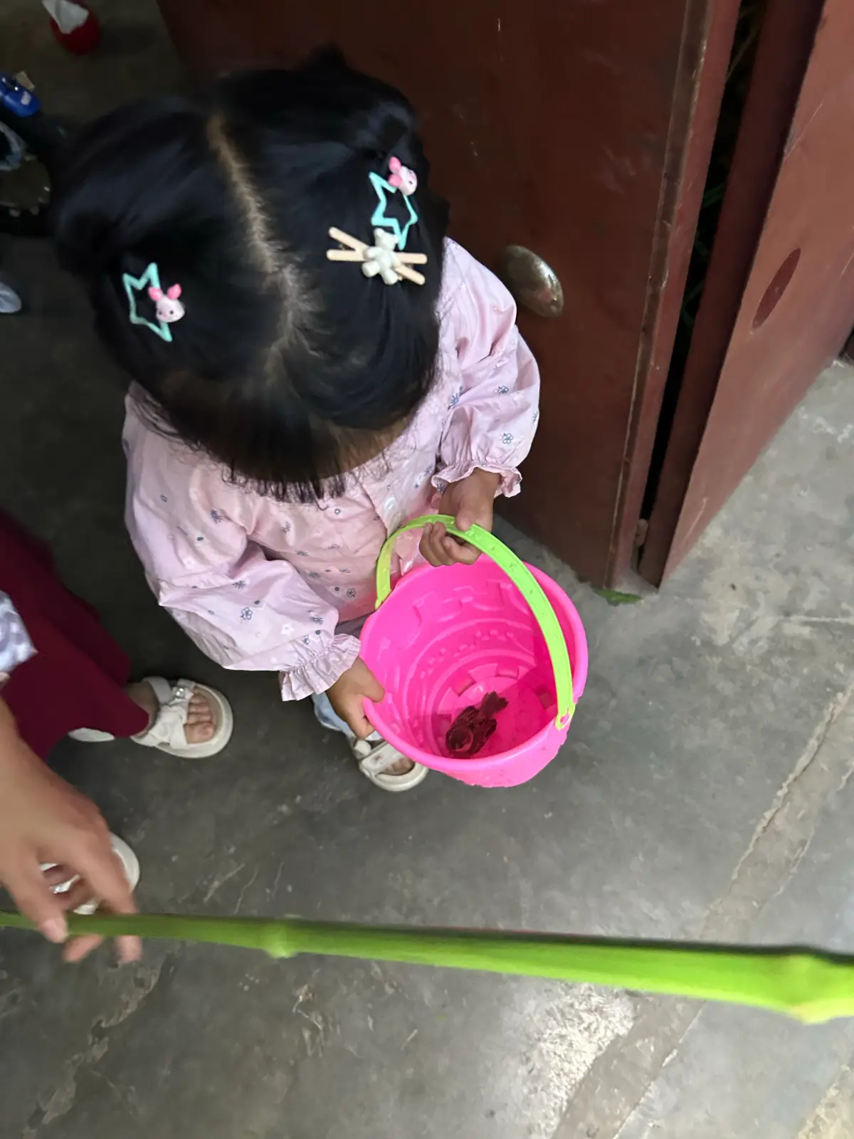 2025-05-25(河边戏水)